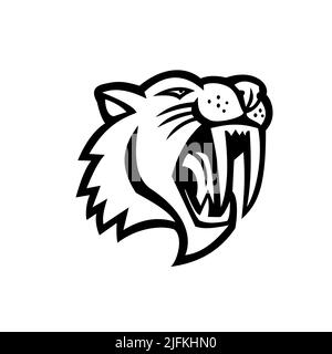 Smilodon Cat on White Stock Photo - Alamy
