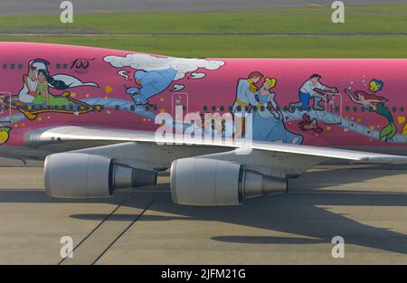The JAL Jumbo Jet to commemorate Mikey Mouse and Disney world was