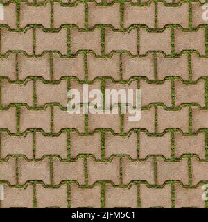 Seamless texture of green grass sprouted between bricks of cobblestone path, top view. Concept of harmonious fusion of city and nature.  Stock Photo