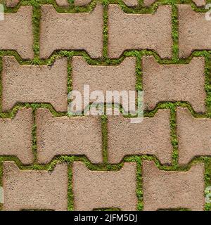 Background seamless texture of green grass sprouted between bricks of cobblestone path, top view. Concept of harmonious fusion of city and nature.  Stock Photo