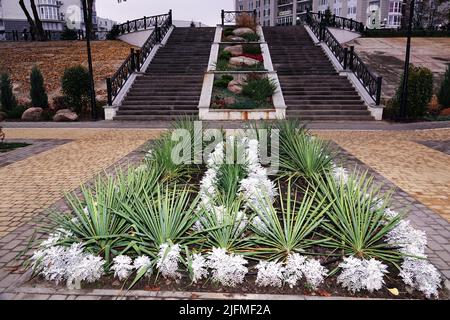 Flower beds in the autumn park of Kiev Stock Photo