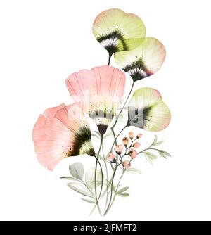 Watercolor abstract flowers and leaves. Vertical floral composition. Pastel color poppies with eucalyptus branches. Blush transparent bouquet in Stock Photo