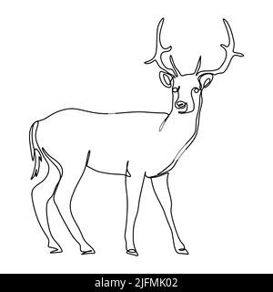 Forest deer line art vector illustration. Black outline silhouette stag on white background. Horned elegant animal buck Stock Vector
