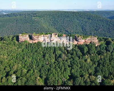 AERIAL VIEW. Ruins of a medieval castle built on an outcrop of sandstone on the Eastern Vosges mountains. Haut-Barr Castle, Saverne, Alsace, France. Stock Photo