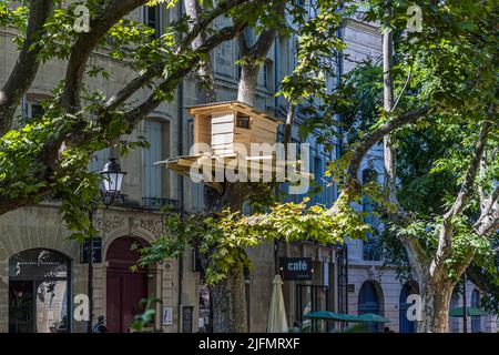 One of Tadashi Kawamata's tree huts is hidden among the branches of a plane tree in front of the façade of a multi-storey townhouse on Place de la Canourgue in Montpellier, France. In 2022, the Japanese artist showed several such fragile wooden structures around the city with the Fondation GGL exhibition "Tree Huts in Montpellier". They are too small to inhabit and meant to be explored only by the viewer's imagination. Stock Photo