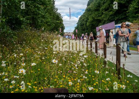 East Molesey, Surrey, UK. 4th July, 2022. Colourful displays at the RHS Hampton Court Palace Garden Festival. Credit: Maureen McLean/Alamy Live News Stock Photo