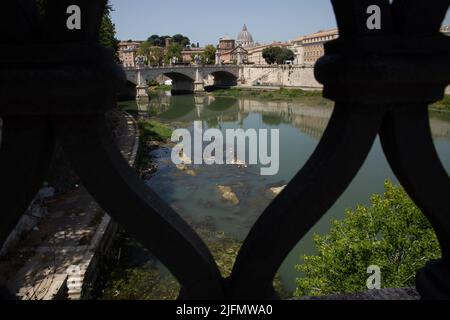 Rome, Italy. 4th July, 2022. View of the Tiber river on a hot summer day (Credit Image: © Matteo Nardone/Pacific Press via ZUMA Press Wire) Stock Photo
