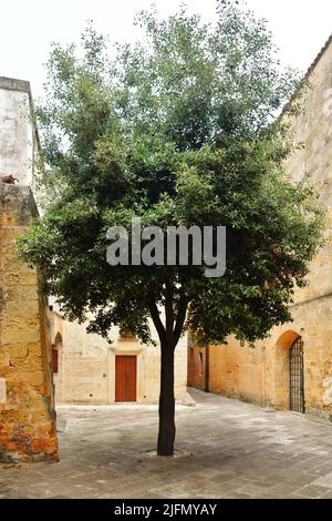 A street in the historic center of Tricase, a medieval town in the Puglia region, Italy. Stock Photo