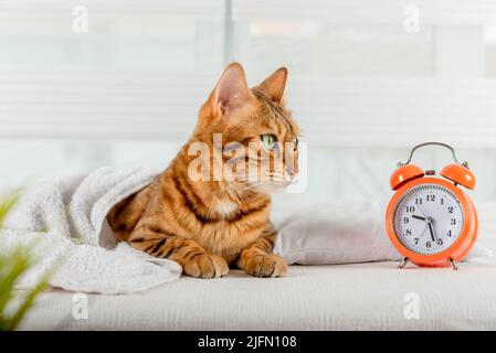 the rock wake up time the rock wake up time
