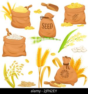Cartoon sacks with wheat. Sack with sheaf spikelet plant flour oat grain cereals rice, farming bag harvest grains of breed, sackful bags barley seed, vector illustration. Wheat bag and barley grain Stock Vector