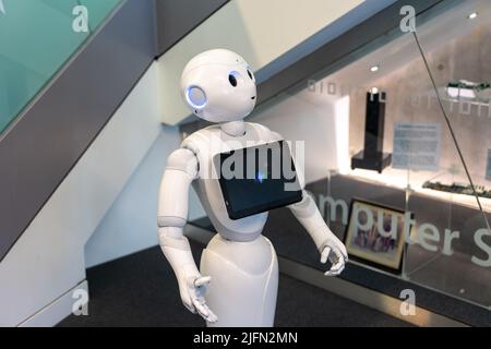 Pepper the humanoid and programmable robot