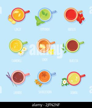 Realistic herbal or green tea ingredients with melissa leaves and ...