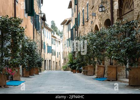Alley in Tuscany decorated with plant pots in front of the houses Stock Photo