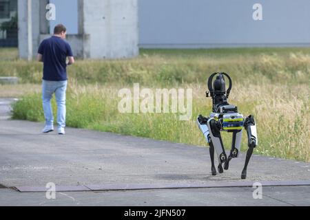 Duisburg, Germany, June 25, 2022: Police dog robot in test following the man with the remote control, Robo Dogs could be used in dangerous disaster ar Stock Photo
