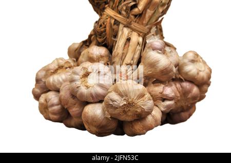 Bunch of Garlic isolated on white background, compound bulb isolated Stock Photo