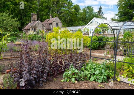 Vegetable garden in summer at Thornbridge Hall Gardens near Bakewell in Derbyshire, England. Stock Photo