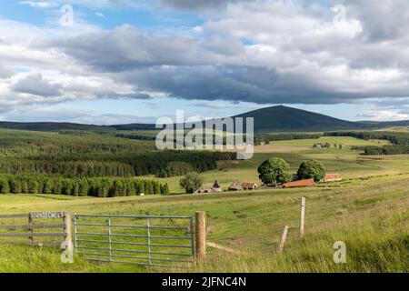 3 July 2022. Cabrach, Moray, Scotland. This is the view of the Tap o' Noth Hill across the Carbarch on a summers day. Stock Photo