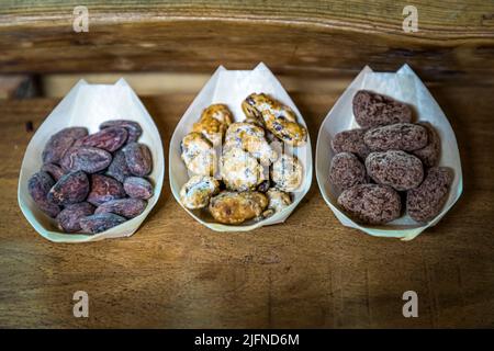 Tasting trays of cocoa beans from São Tomé at Chocolaterie Frigoulettte in Beaufort-sur-Gervanne (Die, France). Visitors can taste the cacao beans roasted, coated in sugar and covered in chocolate. Frigoulette uses only the cocoa bean from São Tomé Stock Photo