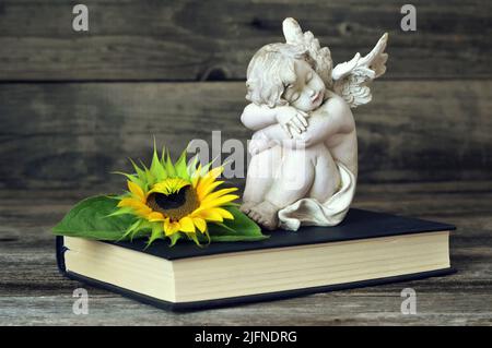 Angel and sunflower on the book Stock Photo