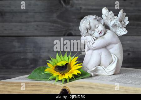 Angel and sunflower on open book Stock Photo