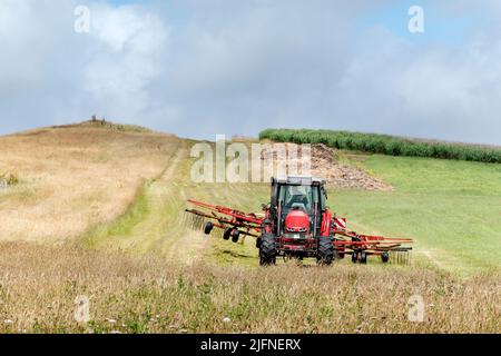 A tractor working in a field of freshly cut dried grass is pulling a mechanical rake prior to the grass being collected and bundled to make hay Stock Photo