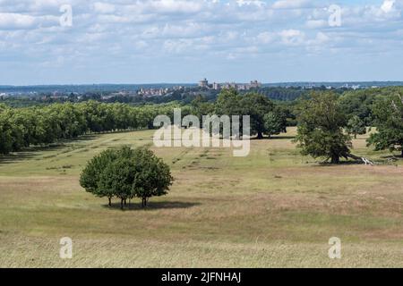 View from Snow Hill towards Windsor Castle, Windsor Great Park, UK. Stock Photo