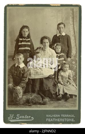 Original Victorian or early Edwardian cabinet card photograph of middle class woman with 6 children, the 2 youngest children possibly her new family. The woman wears  a blouse and skirt - fitted sleeves, high neckline of blouse. The boys are wearing formal suits with stiff collars. There is a strange taxidermy fox used as a prop, Studio of H. Senior, Malvern Terrace, Featherstone, Wakefield, West Yorkshire, England, U.K. Circa 1900, 1901. Stock Photo