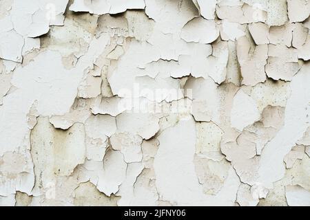 Texture of an old wall with damaged plaster and cracked paint. Stock Photo