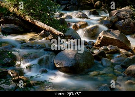 Cold Mountain Creek Long Exposure. A cold, clear mountain creek in the Pacific Northwest. Long exposure motion blur. Stock Photo