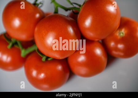 Tomatoes cut out tomatoes on vine - red ripe tomato - tomatoes white background cutout tomatos Solanum lycopersicum Stock Photo