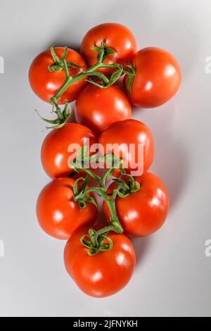 Tomatoes cut out tomatoes on vine - red ripe tomato - tomatoes white background cutout tomatos Solanum lycopersicum Stock Photo