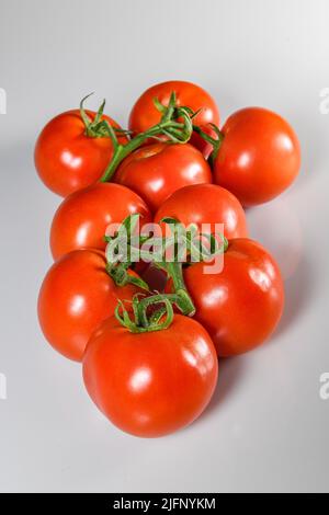 Tomatoes cut out tomatoes on vine - red ripe tomato - tomatoes white background cutout tomatos Solanum lycopersicum Stock Photo