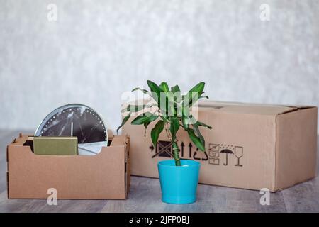 moving to a new apartment with things in cardboard boxes. Boxes with things and a green plant on the floor in an empty apartment after moving.  Stock Photo
