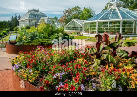 Amazing landscape in Helsinki Kaisaniemi Botanical Garden  plants outdoor and   greenhouse - behind   Small grey gravel as ground pathes Stock Photo