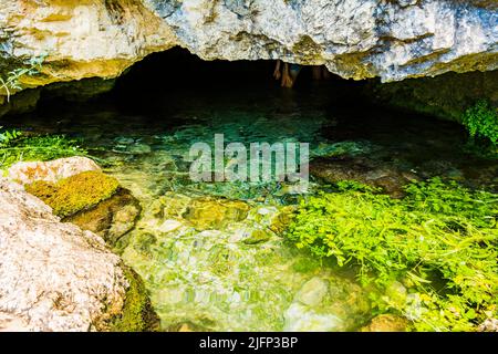 Source of the La Toba stream that is a tributary of the Segura river. Limestone rock cave with a spring. It is common for visitors to take a bath insi Stock Photo