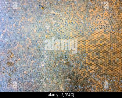 Very many old Icelandic coins on the ground - money concept taken from above Stock Photo