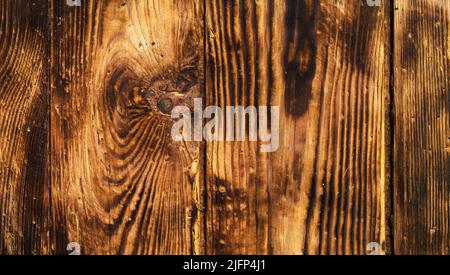 Old burnt pine board, abstract natural texture. Stock Photo
