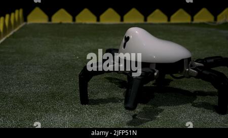 Moving Spider Robot. HDR. Exhibition of modern technologies in robotics. Spider robot moves and walks on playground. Latest robotics technologies Stock Photo