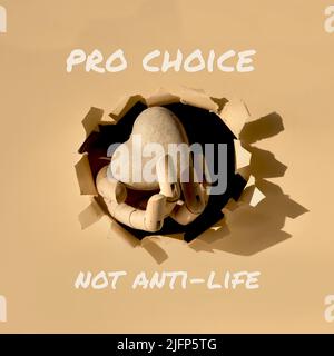 Text Pro Choice not Anti-Life. Cardboard heart in wooden model hand through paper hole in paper. Stock Photo