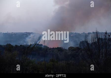 Rome, Italy. 4th July, 2022. Detail of the fire in Pineto park in Rome (Credit Image: © Matteo Nardone/Pacific Press via ZUMA Press Wire) Stock Photo