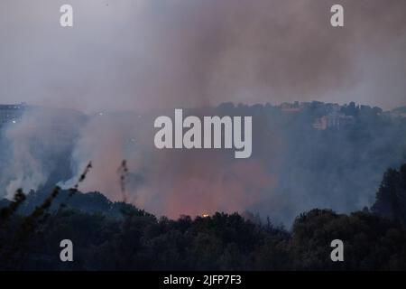 Rome, Italy. 4th July, 2022. Detail of the fire in Pineto park in Rome (Credit Image: © Matteo Nardone/Pacific Press via ZUMA Press Wire) Stock Photo