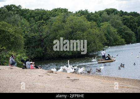 London, UK - 4 July 2022. A family looking at two young men rowing boat  at Hollow pond London, UK. 4 July 2022. Stock Photo