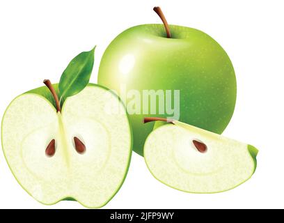 Realistic fruits composition with images of whole and sliced apple fruit on blank background vector illustration Stock Vector
