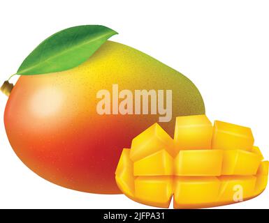 Realistic fruits composition with images of whole and sliced mango fruit on blank background vector illustration Stock Vector
