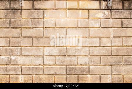 Hi res grunge brick wall and background for any desing Stock Photo