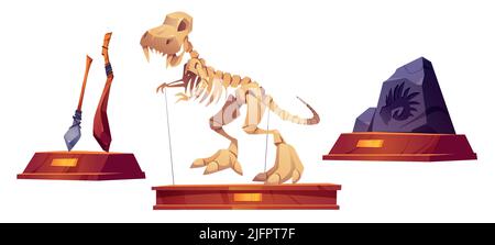 Paleontology museum objects dinosaur skeleton, stone age weapon and prehistoric mollusk print on rock. Historical archeological finds, Tyrannosaurus rex and primitive tools exhibits Cartoon vector set Stock Vector