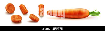 Carrot vector isolated illustration. Orange vegetable with green leaves and shadow in realistic style on white background. Chopped round slices and sticks or bars Stock Vector