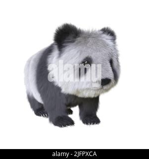 3D illustration panda cub isolated white background Stock Photo