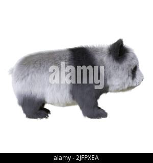 3D illustration panda cub isolated white background Stock Photo