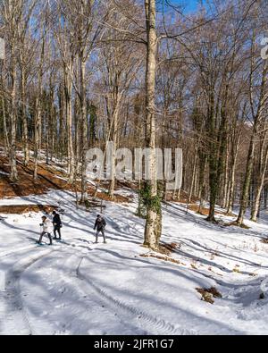 Laceno, Campania, Italy, Feb. 2022. People enjoying a walk in the woods with snowshoes at Lago Laceno ski resort area Stock Photo